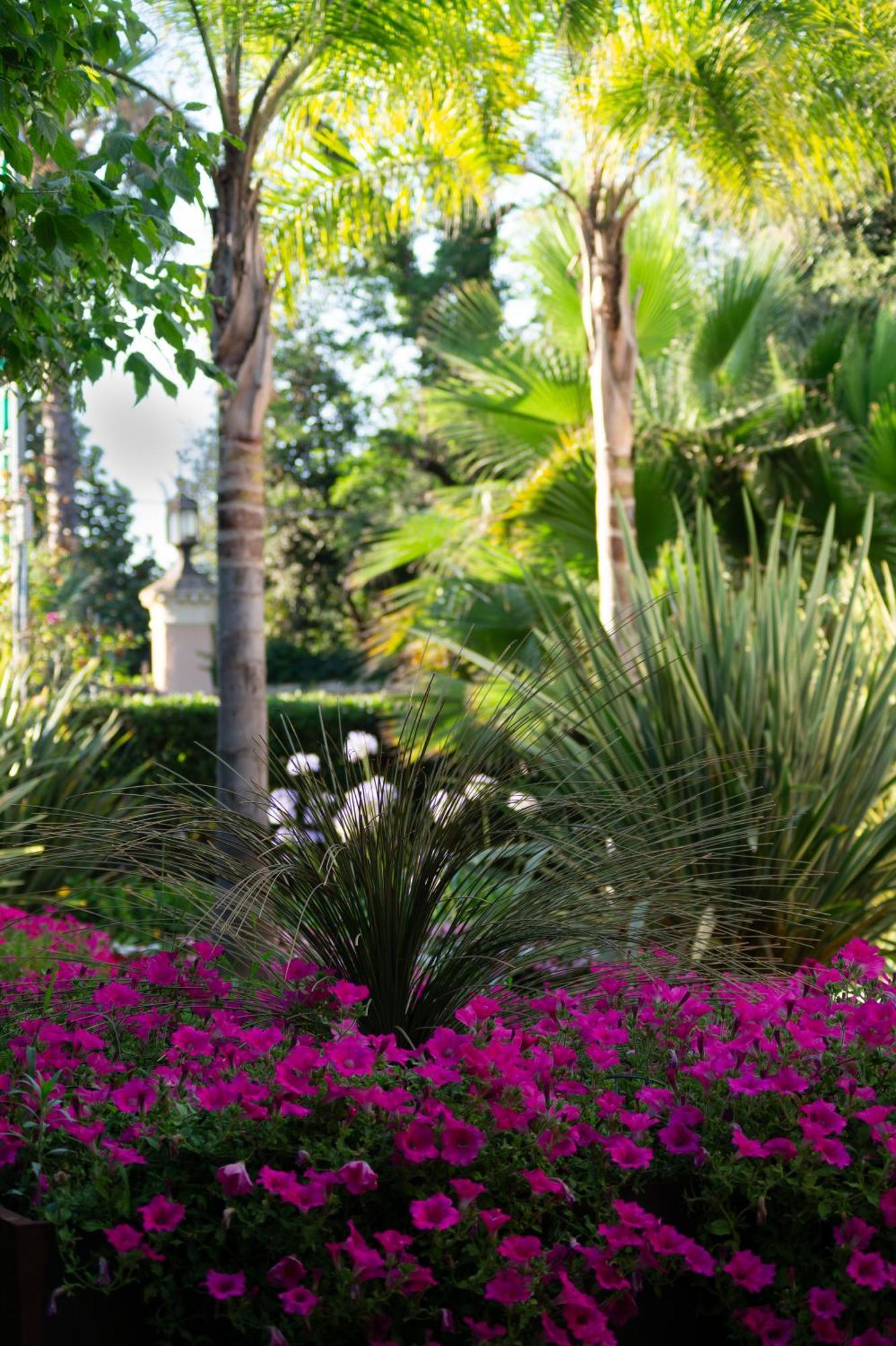 לידו די קאמאיורה Park Hotel Giusy מראה חיצוני תמונה